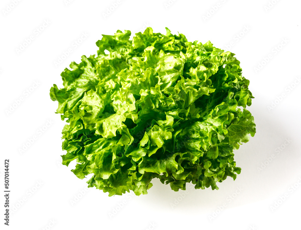 Obraz premium Lettuce salad isolated on a white background
