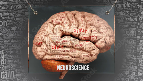 Neuroscience in human brain - dozens of important terms describing Neuroscience properties painted over the brain cortex to symbolize Neuroscience connection with the mind.,3d illustration photo