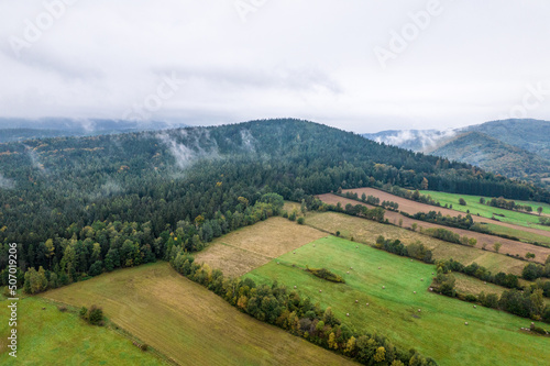 Aerial landscape of green fields and lush forest. Foggy morning. 