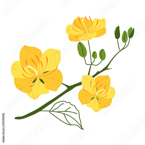 Fototapeta Naklejka Na Ścianę i Meble -  A twig with yellow apricot flowers. Springtime. Vector illustration in hand-drawn style on a white background