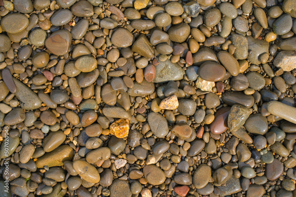 Naklejka premium 海岸沿いの小石の背景素材