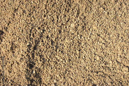 The texture of the sand.