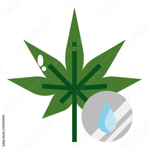 cannabis oil
