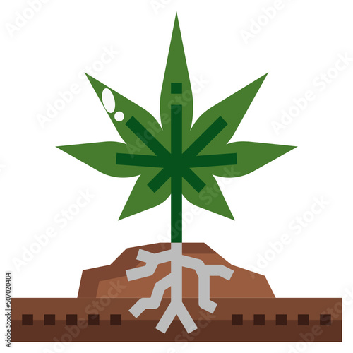 plant