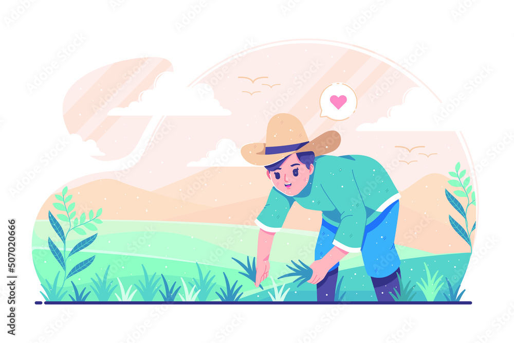 farmer planting in rice fields illustration background