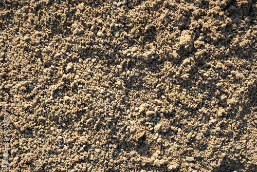 The texture of the sand.