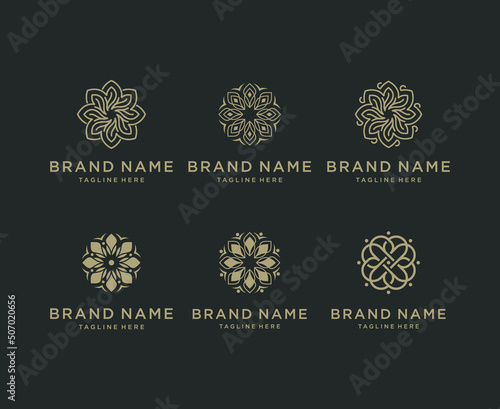 Set of luxury flower logo vector design template