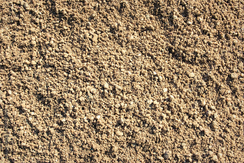 The texture of the sand.