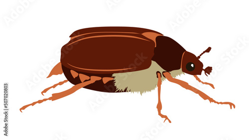 Maikäfer