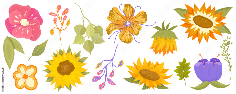 Floral set with sunflower, eucalyptus, leaves and colorful plants. Summer cartoon set of flowers isolated on white background. Vector illustration