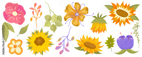 Floral set with sunflower, eucalyptus, leaves and colorful plants. Summer cartoon set of flowers isolated on white background. Vector illustration