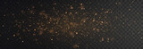 Fairy dust sparks and golden stars shine with special light. Sparkling magical dust particles. Dust sparks glitter. Christmas abstract stylish light effect. Dusty shine light. Vector light on png