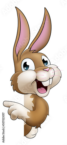 Easter Bunny Rabbit Cartoon...