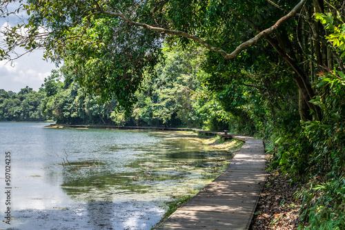 Canvas Print Wooden Trail by Lake in Southeast Asian Jungle / Singapore National Park (Summer