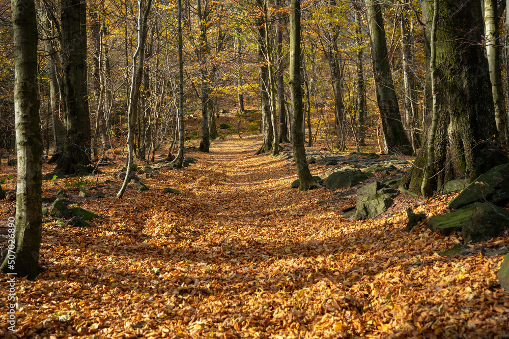 Mountain hiking trail during the fall season. Sunny day. Mountain hiking trail during the fall season. Sunny day.