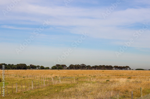 landscape of fields with trees and clouds