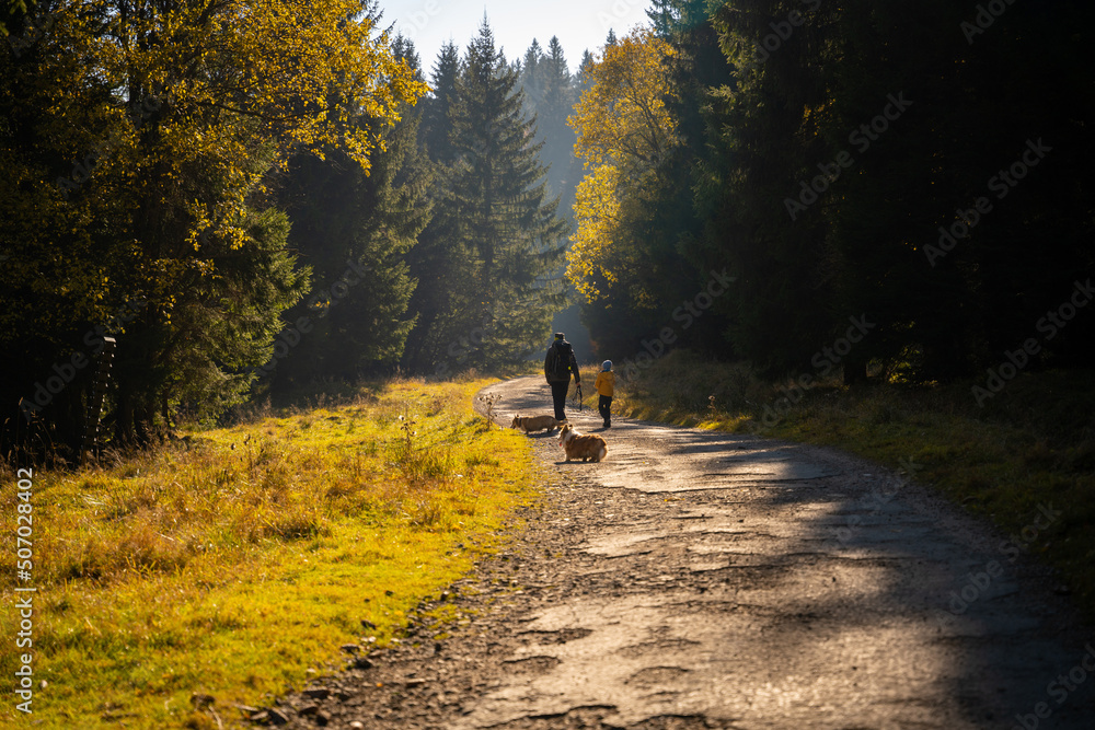 A mother with a child and a dog are walking along the mountain hiking trail. Family spending time. A mother with a child and a dog are walking along the mountain hiking trail. Family spending time.