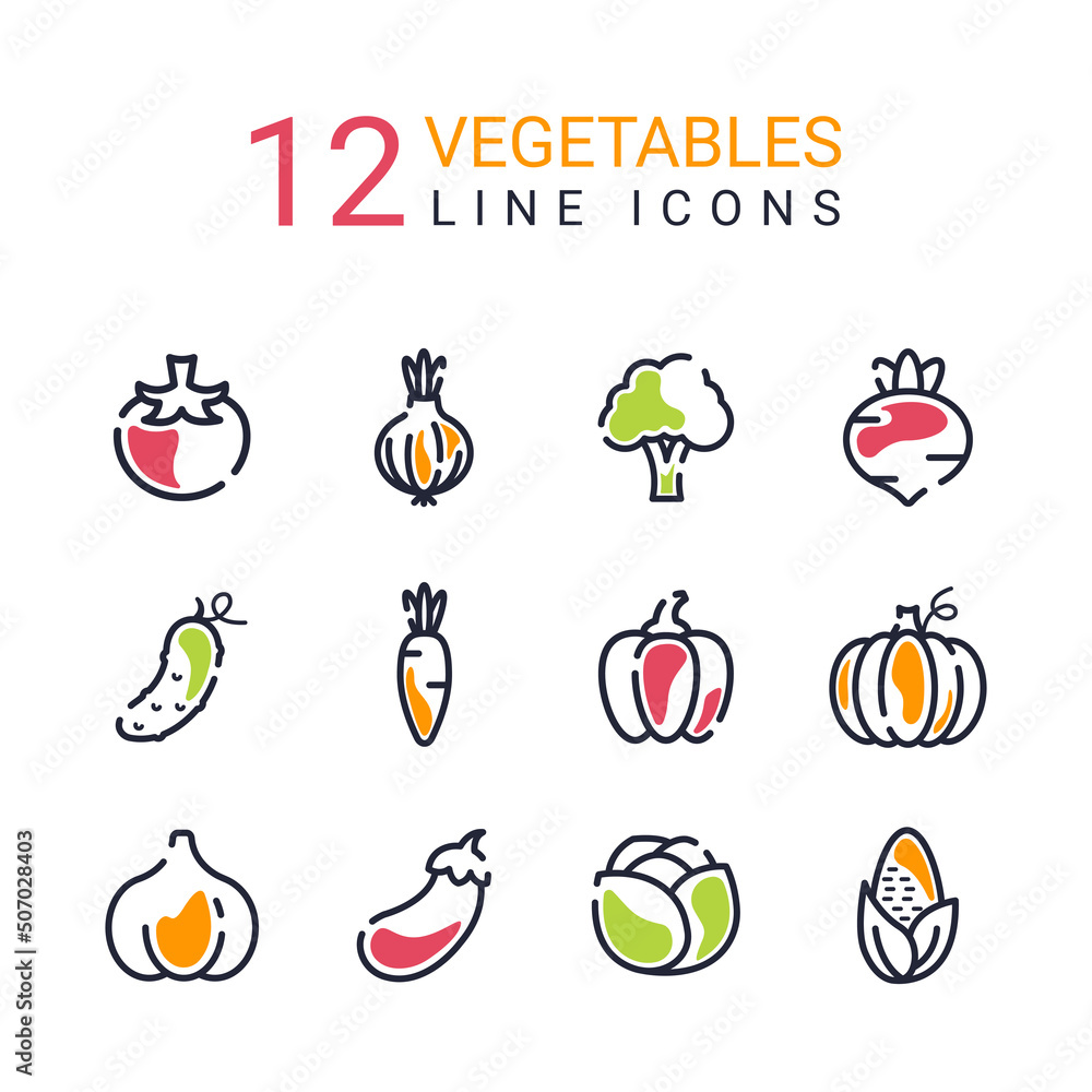 12 vegetable color line icons. Vegetable icons. Set of icons. Vegetables. Vegetarians. Healthy food. Colored icons.	