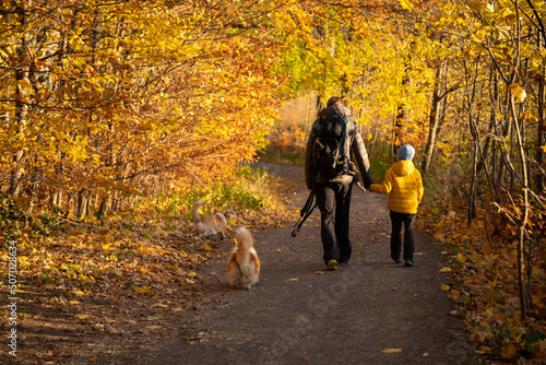 A mother with a child and a dog are walking along the mountain hiking trail. Family spending time.