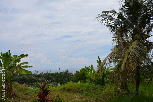 Wallpaper Mural trees Torontodigital.ca