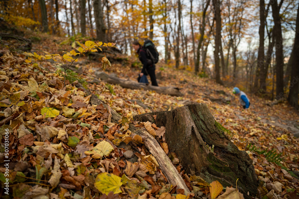 Mum and child are walking along the mountain hiking trail. Family spending time. Mum and child are walking along the mountain hiking trail. Family spending time.