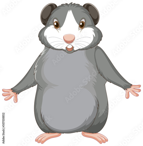 A Cute guinea pig on white background