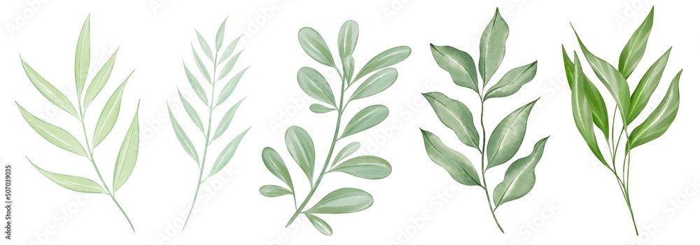 Fototapeta premium Set Watercolor flowers. Hand painted floral illustration.