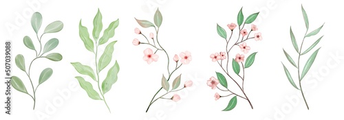 Set Watercolor flowers. Hand painted floral illustration.