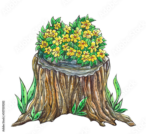 Watercolor illustration with a flowering stump. Yellow flowers.