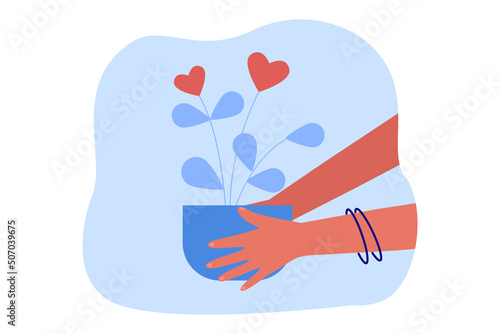 Hands of woman holding houseplant with hearts as flowers. Person with potted plant as gift flat vector illustration. Love, care, spring, charity concept for banner, website design or landing web page