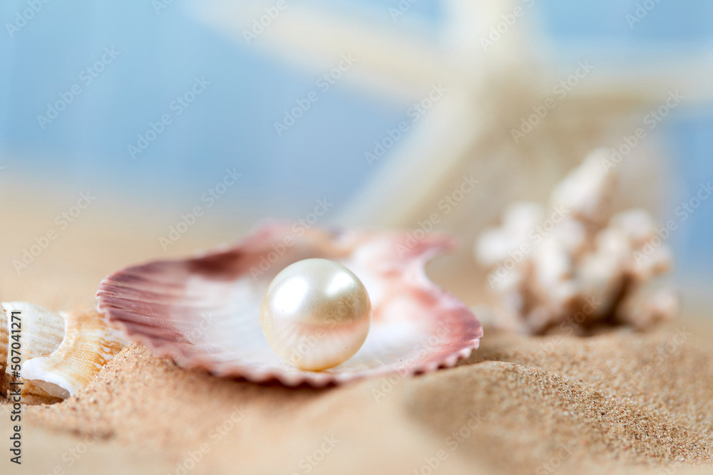 sea shells and pearl on sand sea shells and pearl on sand