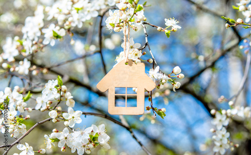 symbol of the house among the white cherry blossoms 