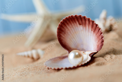 Fotografia sea shells and pearl on sand