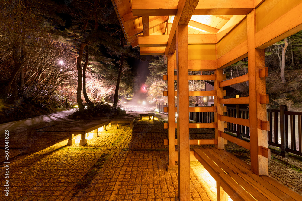 Fototapeta premium 草津 西の河原公園のライトアップ