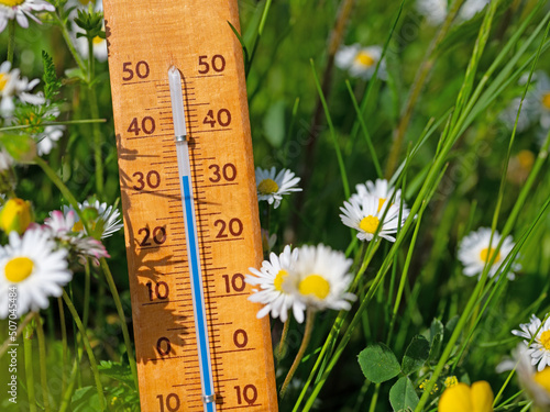 Thermometer auf einer Blumenwiese in der Sommerhitze photo