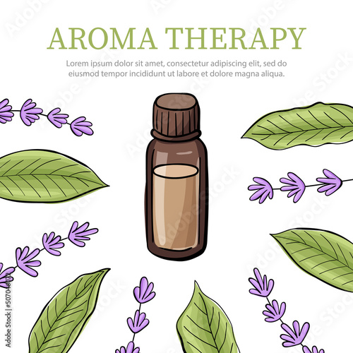 Aroma essential oil bottle or vial, aromatic green tea leaves and lavender twigs. Frame of herbals with place for text. Good for spa, beauty salon, Herbal Medicine designs. Vector illustration on
