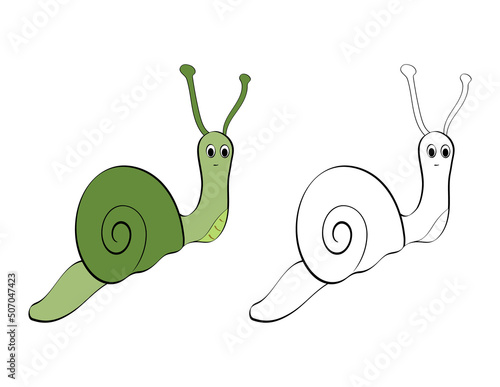 cute snail for the coloring book