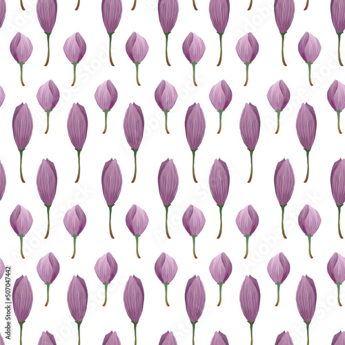 Rustic pattern with pink lotus buds hand-painted on white background. Water lilies floral ornament for spring and summer design. 