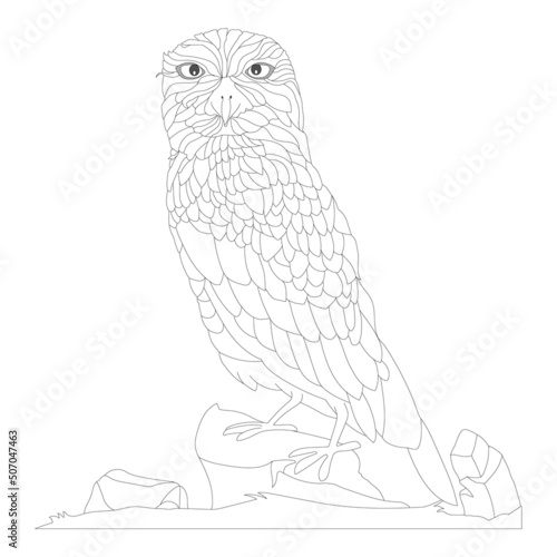 hand-drawn owl for coloring book