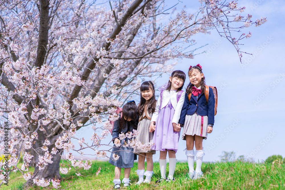 Fototapeta premium ランドセルを背負って楽しく登校する小学生の女の子たち