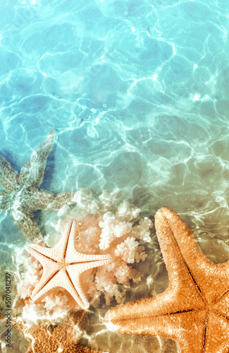Starfish and seashells on the summer beach in sea water. Summer background. Summer time © Belight