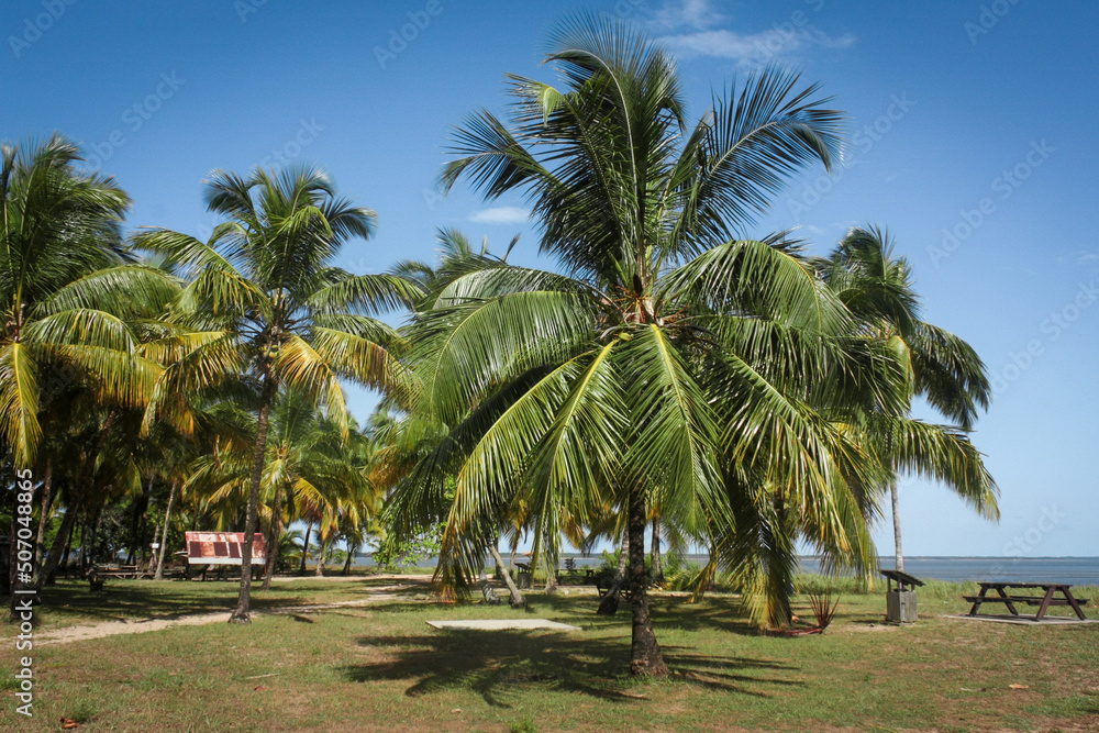 Table de picnic sur une aire de repos près de la plage de Awala-Yalimapo, village amérindien en Guyane Française lors d'une journée ensoleillée près de l'océan atlantique