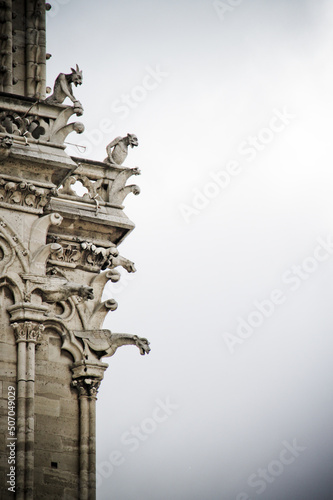 Photography Detail of Notre-Dame de Paris cathedral , Paris, French