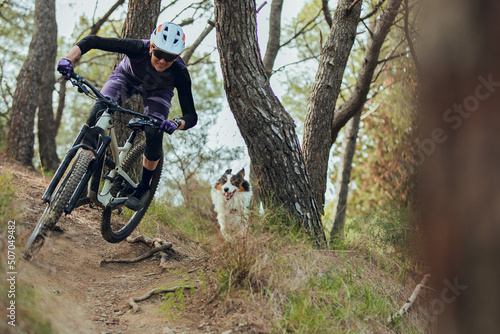 Woman mtb rider with australian shepherd dog riding mtb bike down trail in forest