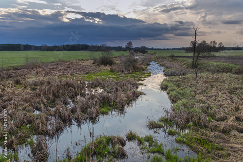 Evening view of River Belczac in Wegrow County, Masovia region of Poland photo