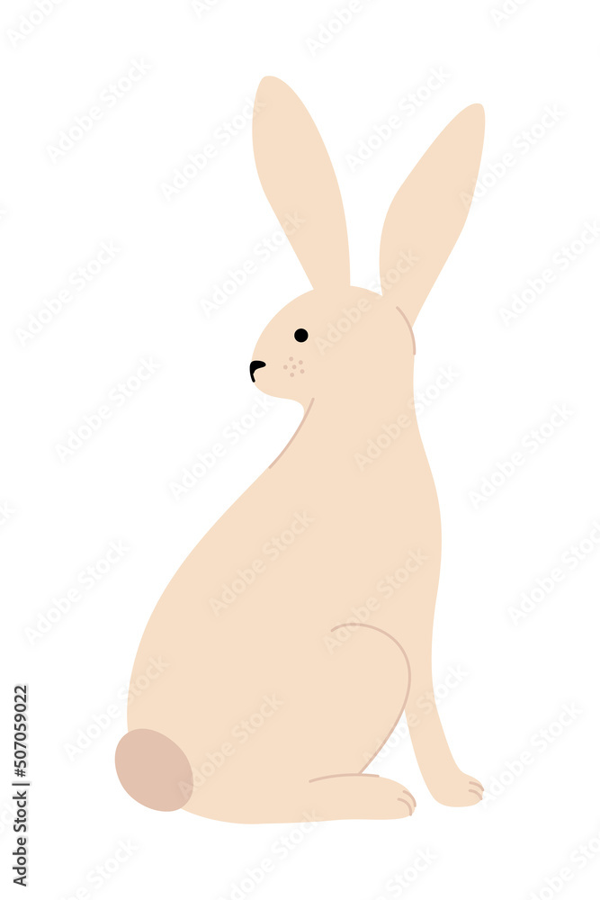 Cartoon hare is sitting. Cute eared rabbit from the back in half a turn. Vector illustration in a flat style. Cartoon hare is sitting. Cute eared rabbit from the back in half a turn. Vector illustration in a flat style.