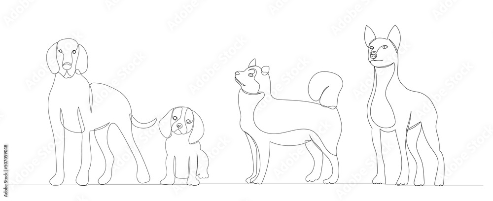 dogs drawing in one continuous line, sketch, isolated, vector dogs drawing in one continuous line, sketch, isolated, vector