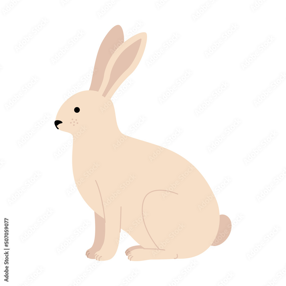 Obraz premium The hare is sitting. Cute eared rabbit from the side, in profile. Vector illustration in a flat style.