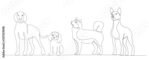 dogs drawing in one continuous line, sketch, isolated, vector © zolotons