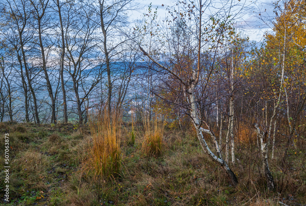 Cloudy and foggy early morning autumn meadow scene. Peaceful picturesque traveling, seasonal, nature and countryside beauty concept scene. Carpathian Mountains, Ukraine. Cloudy and foggy early morning autumn meadow scene. Peaceful picturesque traveling, seasonal, nature and countryside beauty concept scene. Carpathian Mountains, Ukraine.